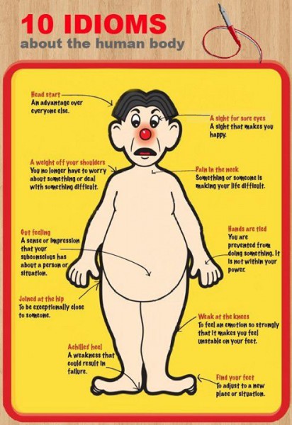 Idioms about the human body