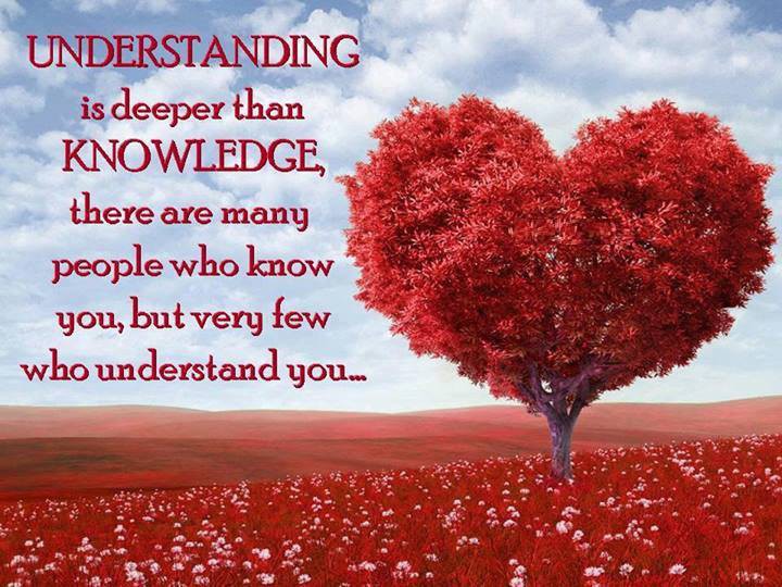 Understanding is deeper than knowledge