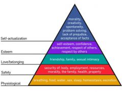 Maslow pyramid